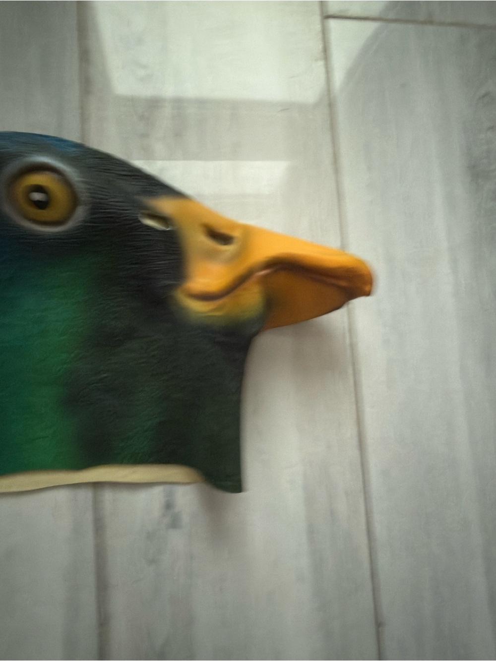 Mcphee Archie Mallard Duck Mask Fall Halloween š One Size - Picture 2 of 7